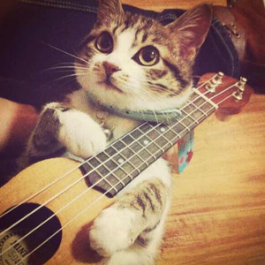 啊〜好痛〜嗯〜轻一点揉我胸男男
